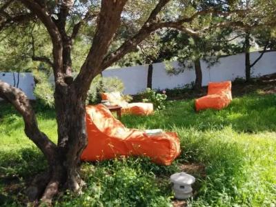 Milatos Village Cretan Agrotourism - 23