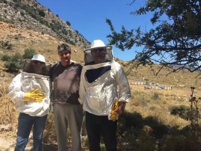 Milatos Village Cretan Agrotourism - 27