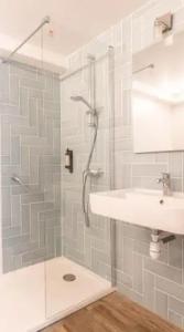 Terre Neuve - 65