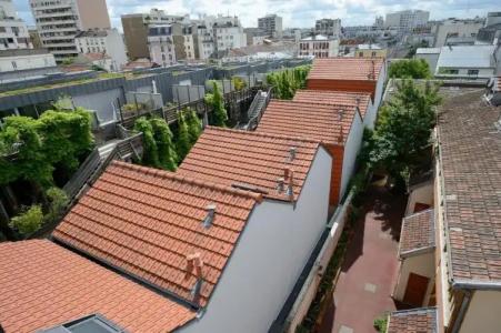 Terre Neuve - 56