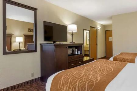 Comfort Inn at Thousand Hills - 6