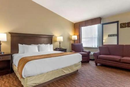 Comfort Inn at Thousand Hills - 44