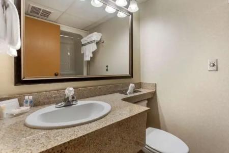 Comfort Inn at Thousand Hills - 8