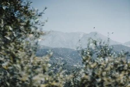 Drymades Bungalows Adults Only - 14