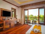 Deluxe Double room with balcony and with pool view