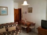 Basement Apartment