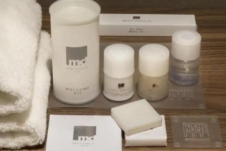 Palazzo Dipinto - 48