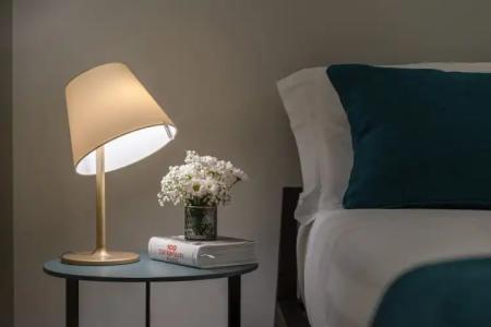 Palazzo Dipinto - 88