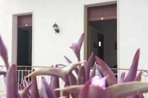 Bed & Breakfast «Arcobaleno», Custonaci