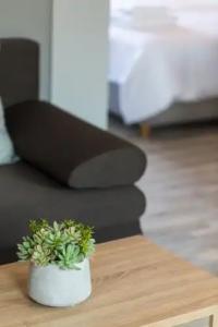 Menta City Boutique - 71