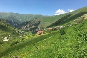 Yüce Suite Apart-hotel, Uzungol