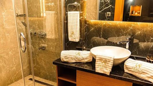 Aselia Trabzon - 113