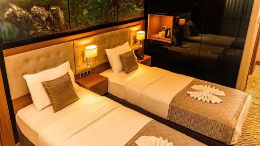 Aselia Trabzon - 132