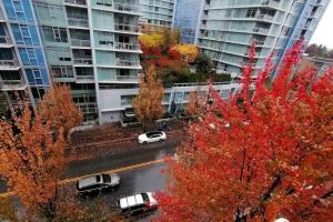 Vancouver Airport Condos, Richmond