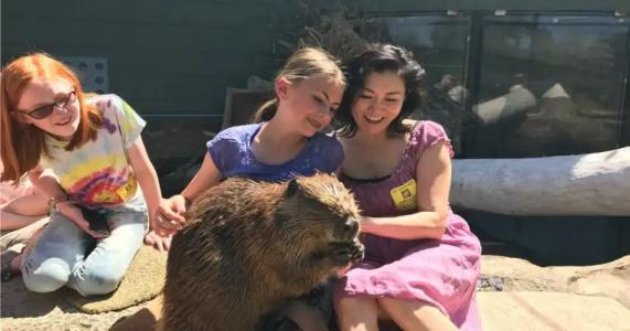 Sheraton Redding at the Sundial Bridge - 29