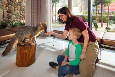 Sheraton Redding at the Sundial Bridge - 45