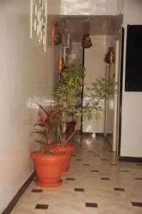 Happy Land Luxor - 11