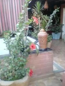 Happy Land Luxor - 15