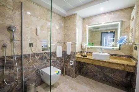 Karpalas City & Spa - 120