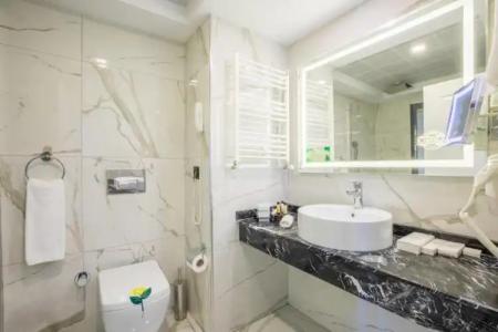 Karpalas City & Spa - 167