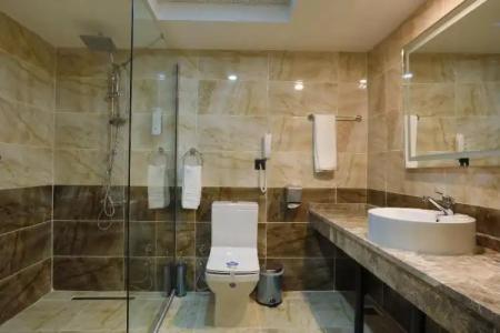 Karpalas City & Spa - 113