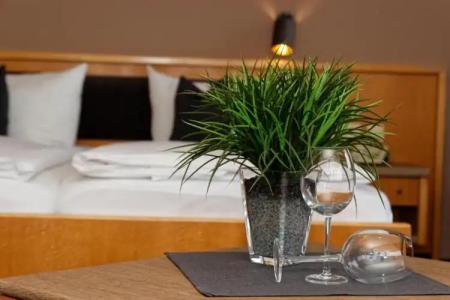 Kurpension Freudenstein - 29