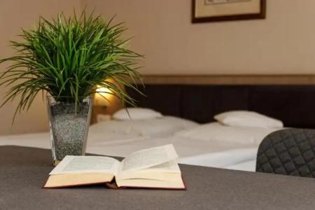 Kurpension Freudenstein - 40