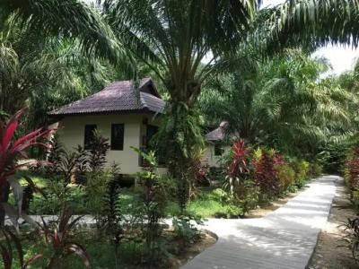 Khao Sok Palm Garden Resort - 14