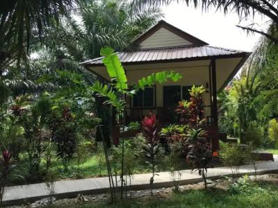 Khao Sok Palm Garden Resort - 15