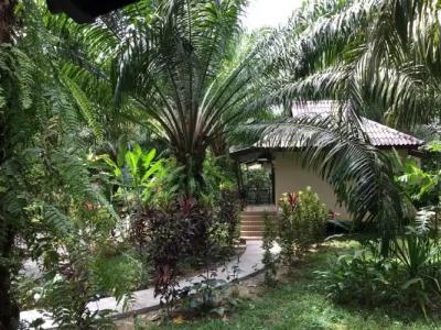 Khao Sok Palm Garden Resort - 12