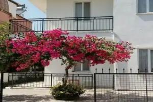 Tavilogullari Villa Apart, Dalyan