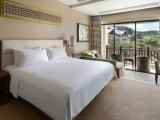 Superior Rainforest Garden Wing Double room