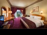 Executive Double room with pool view
