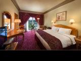 Superior Terrace Double room with pool view