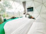 Standard Double Star Dome