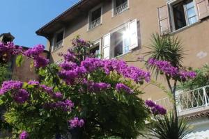 Albergo Bellavista Hotel, Limone sul Garda
