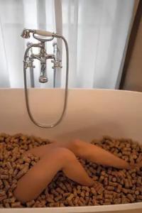 Pension Leuchtenburg - 45