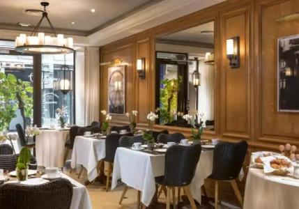 Dauphine Saint Germain - 18