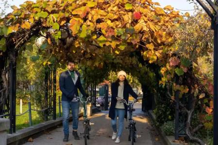 Hôtel de Banville - 26