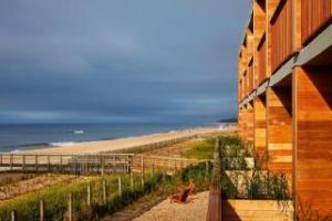 Marram, Montauk