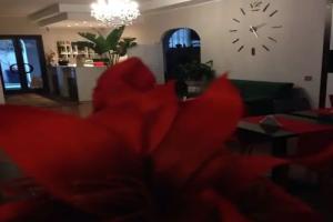Hotel La Rosetta Scauri, Scauri
