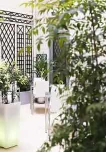 Glasgow Monceau by Patrick Hayat - 17