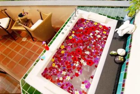 Mangosteen Ayurveda & Wellness Resort - SHA Plus - 90