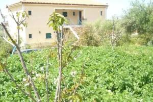 Apartment «Eleftheria Studios», Mousata