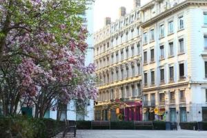 Hotel des Celestins, Lyon