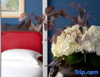 Serotel Lutèce - 78