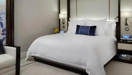 The Peninsula Chicago - 19