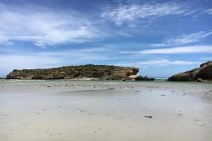 Botanic Breeze, Warrnambool