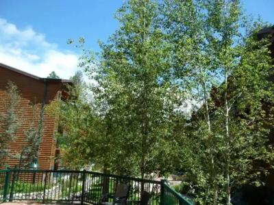 Ruidoso River Resort Condos - 7