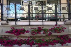 Hotel Carlton Beach, Rimini